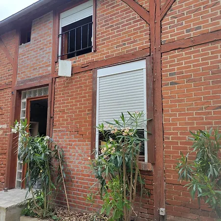 Duplex Dans Havre De Paix, Sur Le Gr3 Proche Loire Et Canal Checy Exterior photo